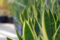 わさわさと・・。