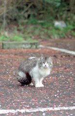 あんただれ？