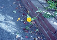 img157
