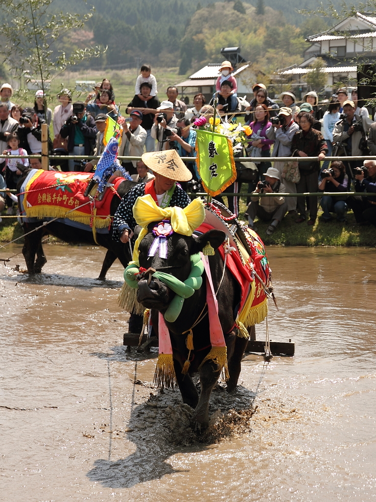 田植え祭り