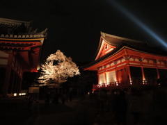 清水寺ライトアップ