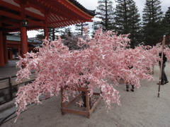 平安神宮　結び木