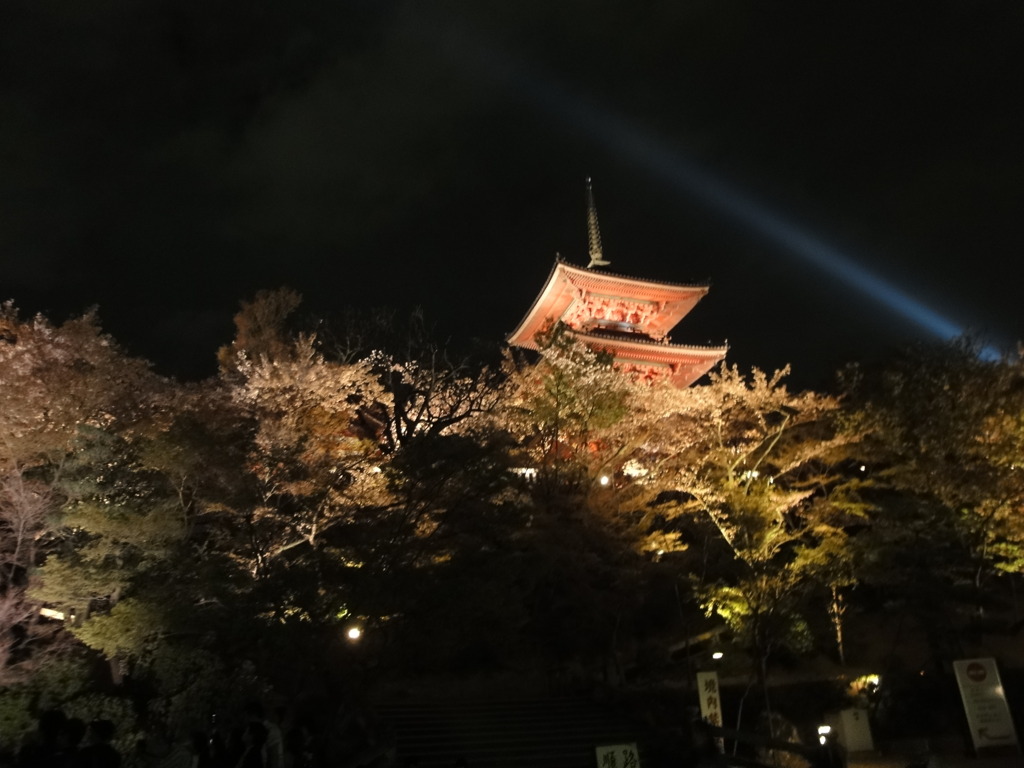 清水寺ライトアップ