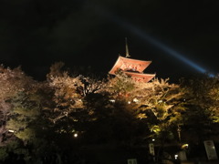 清水寺ライトアップ