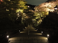清水寺ライトアップ