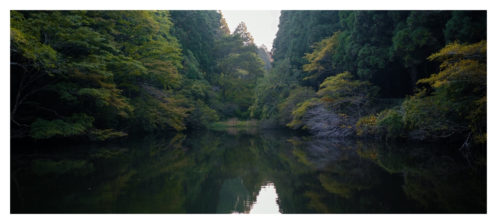 県立恩賜箱根公園