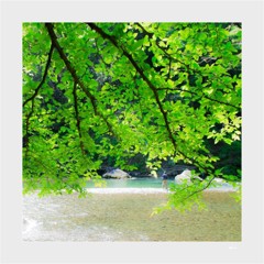 奥多摩の新緑