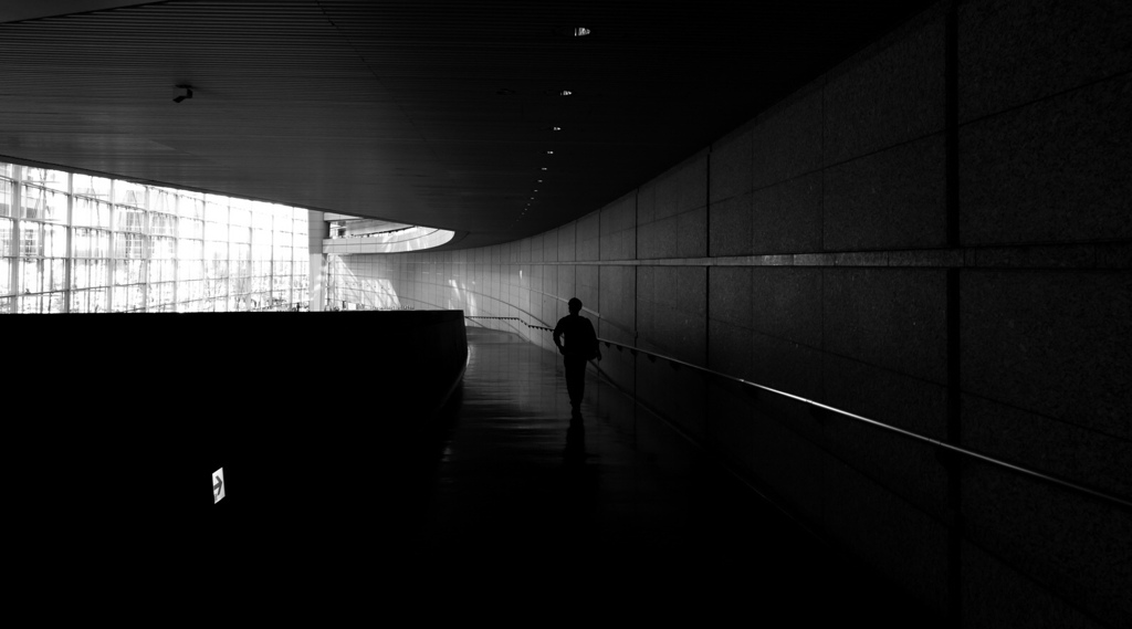 国際フォーラム