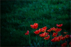IMG_2025_06_25_2354099257