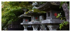 丹沢大山の森 5