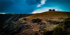 DJI_20250812185018--