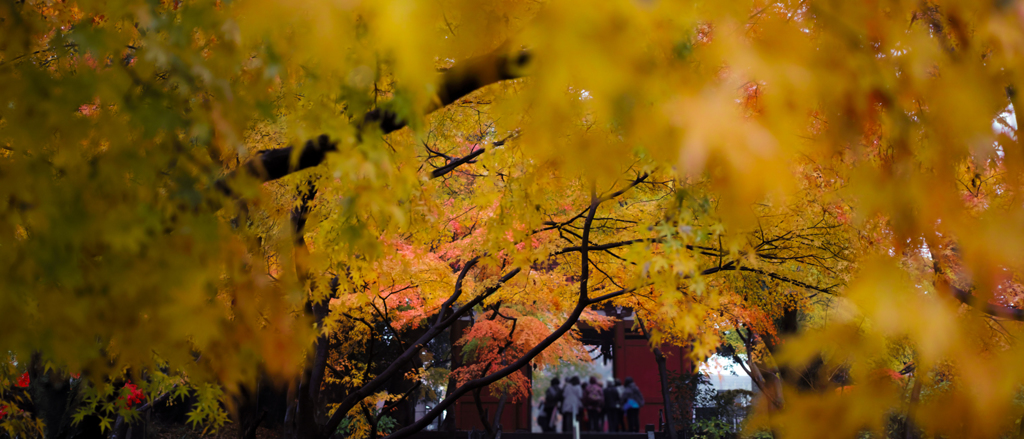 本土寺