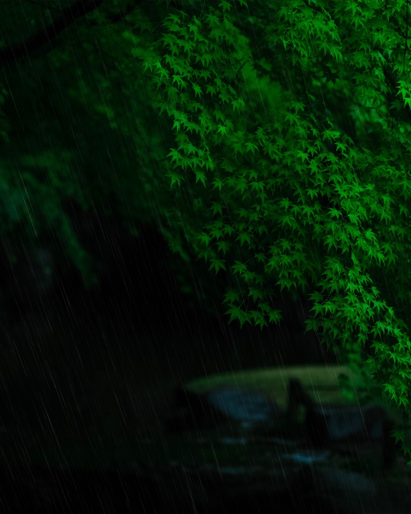 雨の日