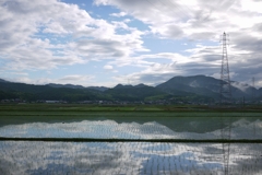田植え終了