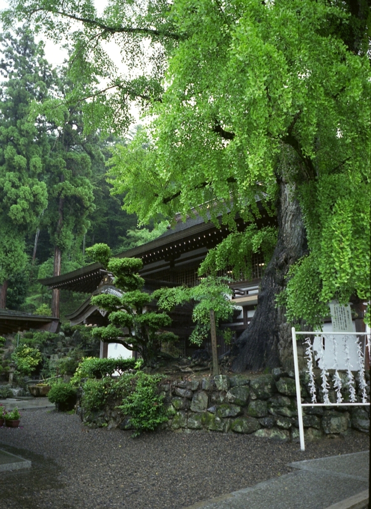 吉備津神社-雨