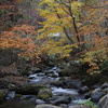 照葉峡の紅葉