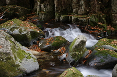 照葉峡の紅葉その２