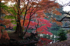 下の池の島