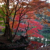 下の池の島