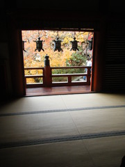 DSCF7604