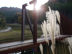 P1010285