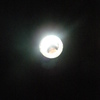 DSCF7631