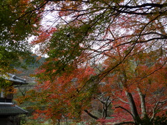 P1050841