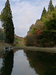 P1050888