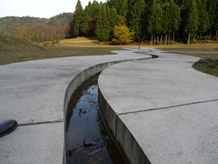 P1050908