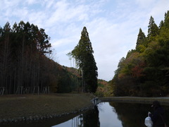 P1010262