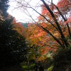 DSCF7561