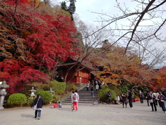 R0011199
