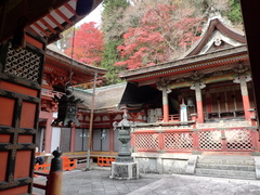 P1050864