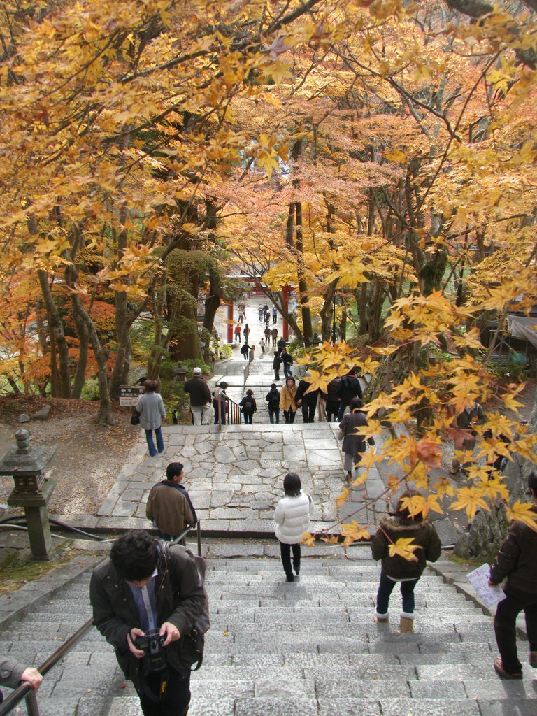 DSCF7592