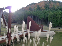 P1050904