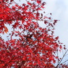 DSCF7714