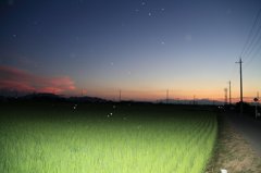 夕暮れの気泡aq