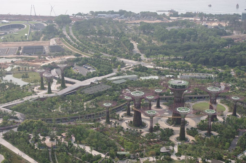 Supertree Grove / Singapore