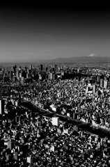 Tokyo Sky Tree