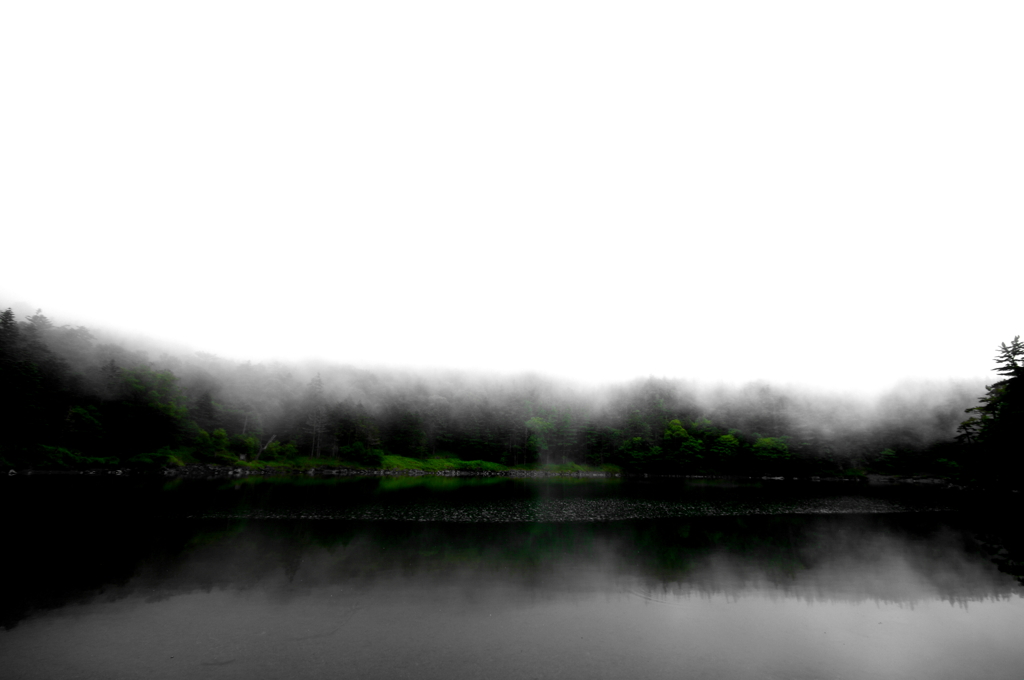 Beyond the Fog