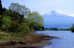 fuji