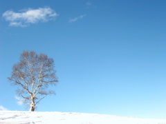 雪山にて