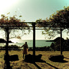 Indian Summer