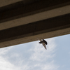 flying under the bridge..