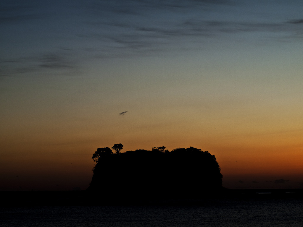 沈んだ夜に浮かぶ