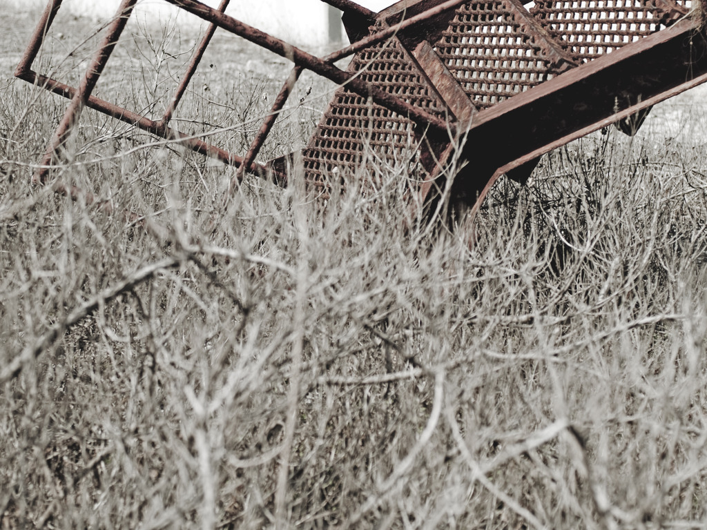 portrait of the stairs..