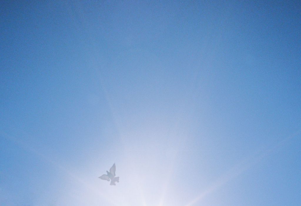 take off the symbol..