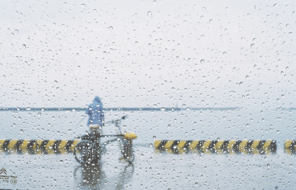 雨に頓着せず。