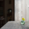 small spring on the table..