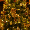クリスマスツリー